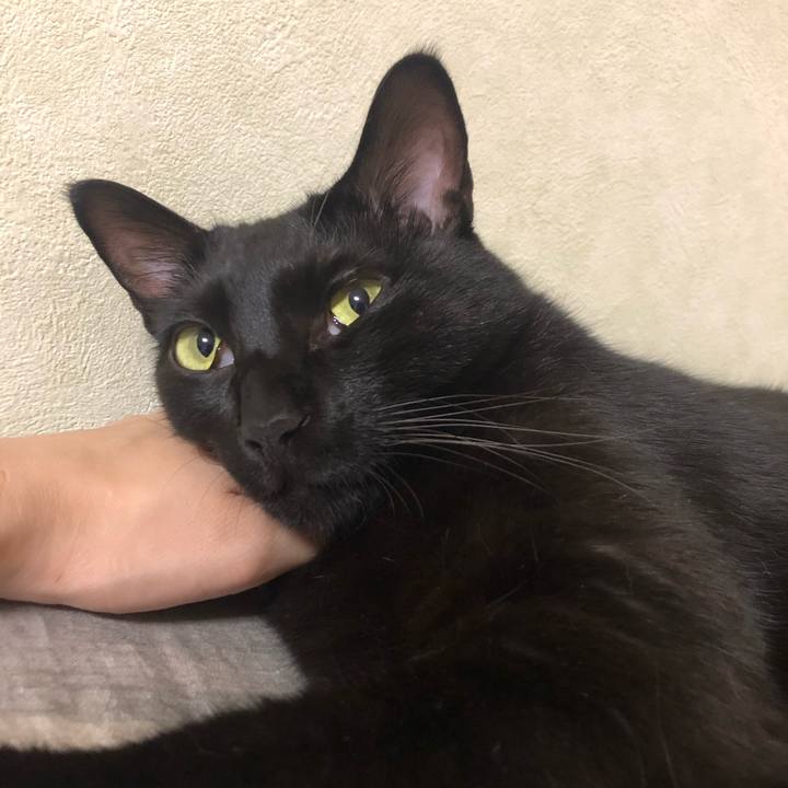 E19f41c5 8bbf 413c 9939 67a41277603c 1568898861208