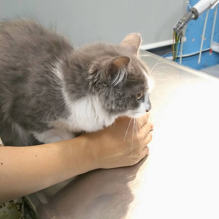 E19f4808 0124 4fb2 a12e 28636be07927 1566466575052