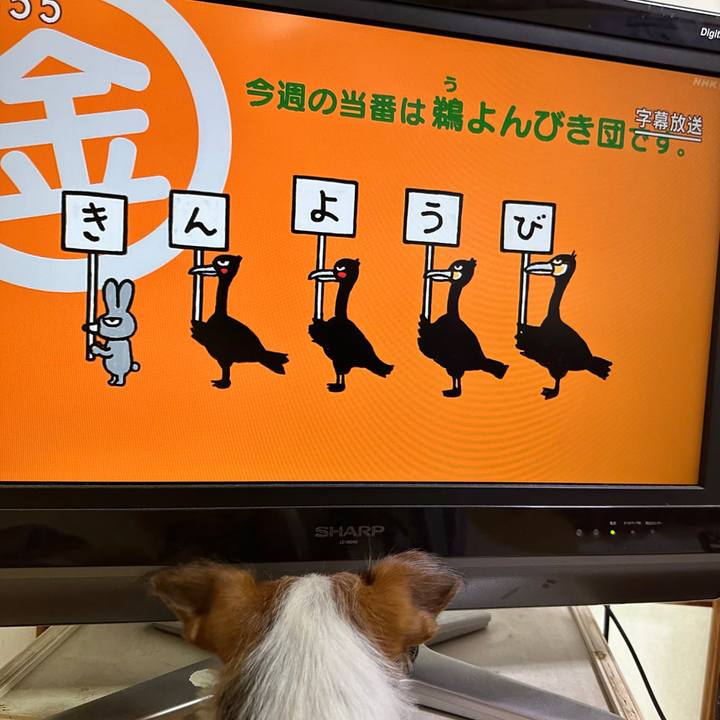 E19f75b7 0e1f 4571 944d ac7825ae40aa 1760048771756