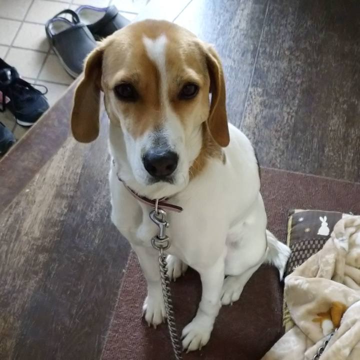 E19fc270 7aee 4e87 8b2f ec89aa8591ee 1582619998345