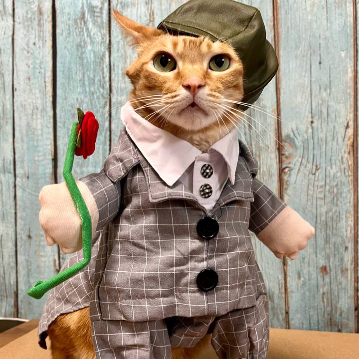 E19fec5e a7c6 487d 9762 411646a3295b 1678747326222