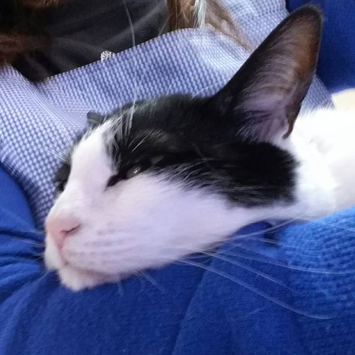 E1a0235f 5d5f 420f ba1c 7786176a809e 1526273020762