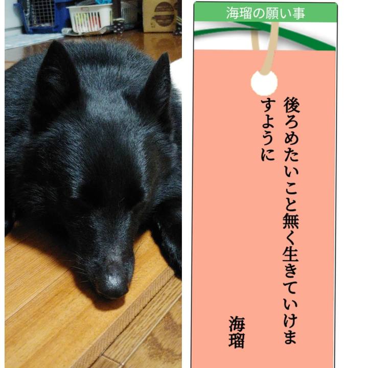 E1a02f9e e49b 4a6b 8ff6 d1b3c2561214 1657144648695