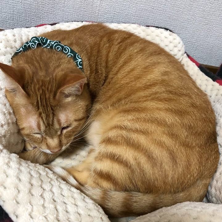 E1a05c37 914a 4e2b 9138 6b27dcb58237 1559738360867