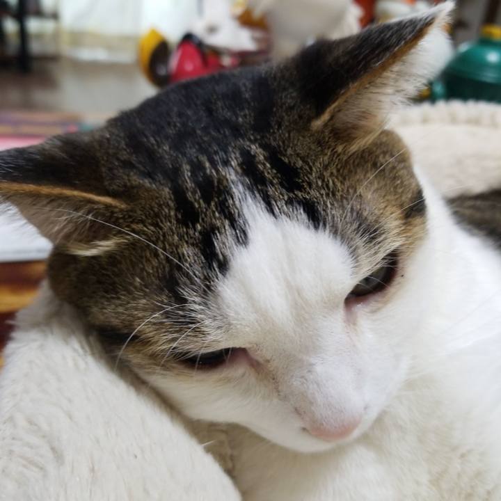 E1a0877d 2783 4513 9926 0a794ac66ea4 1587169506617