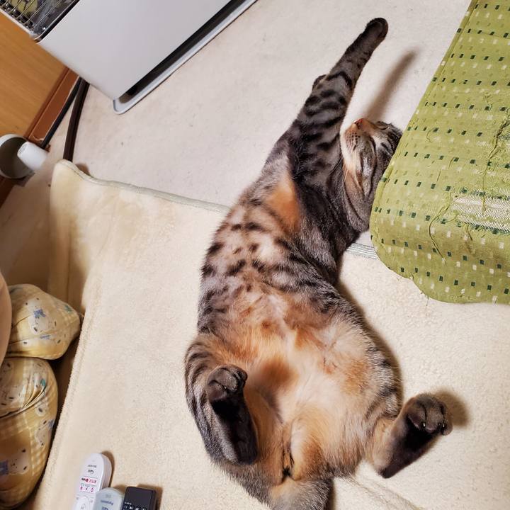 E1a097e3 ee33 474b 9533 bb80d54cfb6b 1699891293259