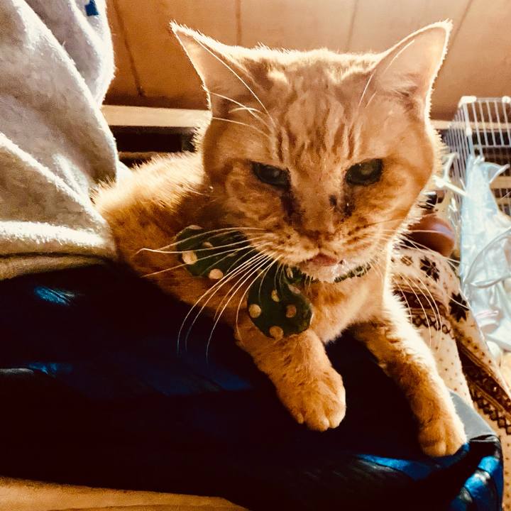 E1a0a7cd 0a09 4095 a7e6 fb7a4f7681dc 1768161887395