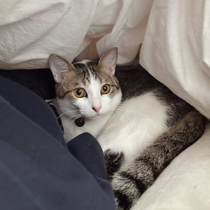 E1a0abd0 1723 4247 b2ab 5822e8172c3f 1772671915015