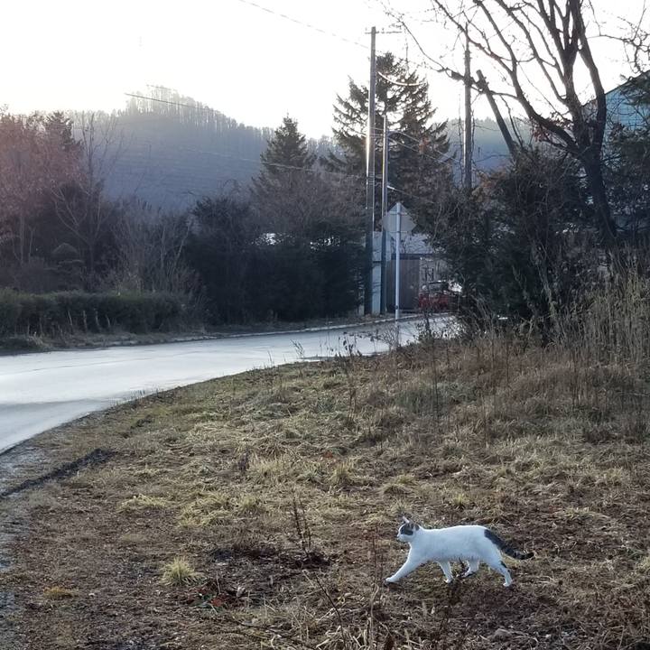 E1a12152 331b 46d7 8f27 43b2389600b8 1576372627647