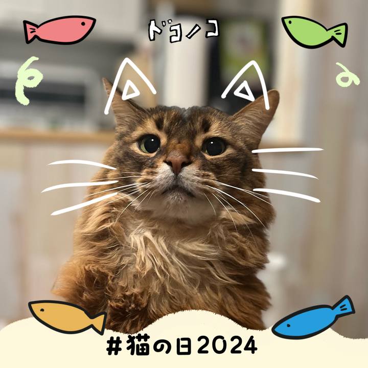 E1a13552 743c 46b9 83b1 42977785247b 1708593129611