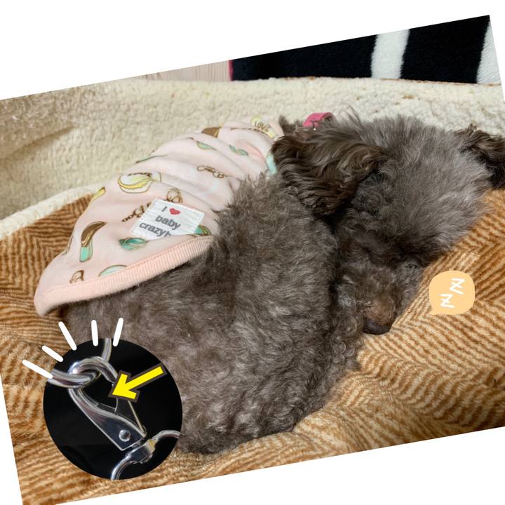 E1a142e9 4526 4348 a020 2e5d340a99e2 1614860377619