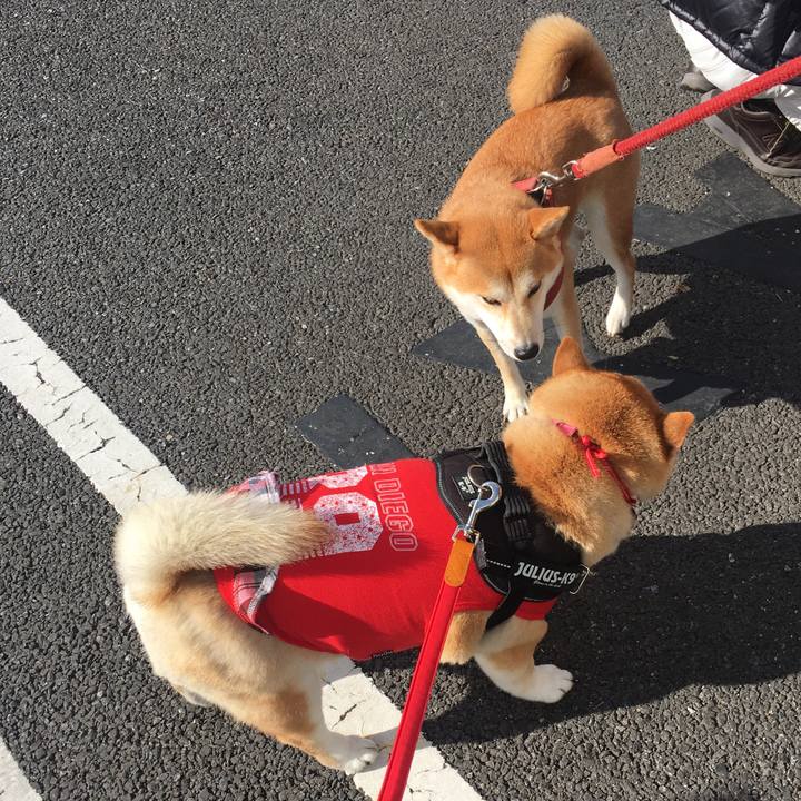 E1a16fb7 fb4b 4436 aabc 80b6f5bb9b7e 1575196277661