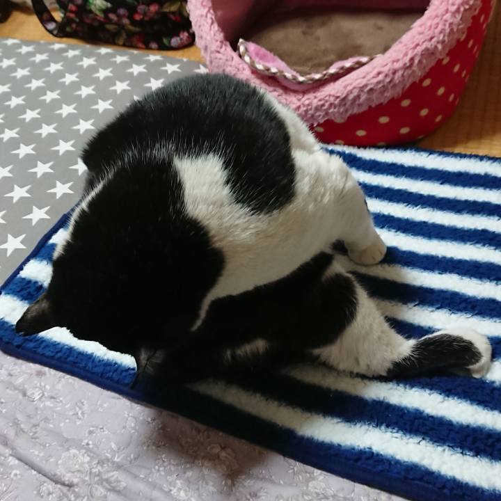 E1a19efb e7c1 4914 8071 08780f32fd7e 1549814383782