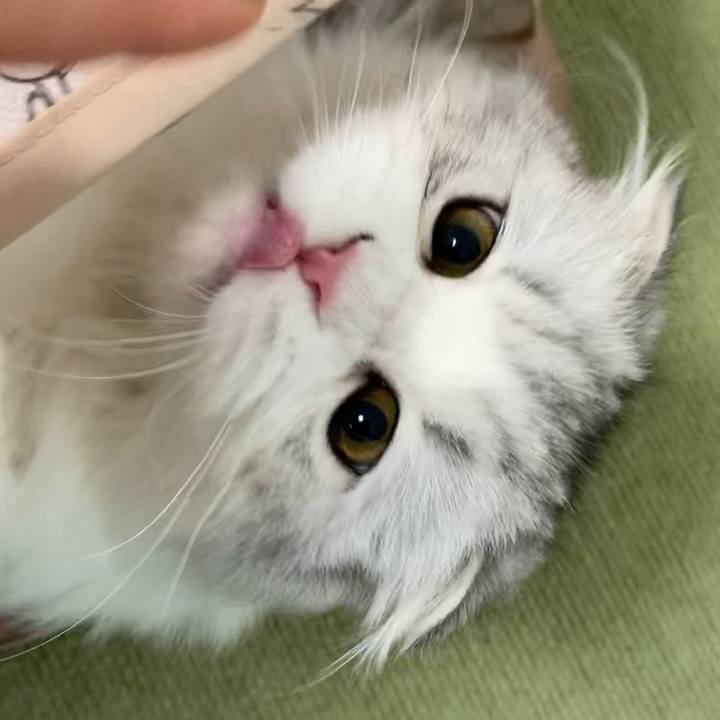 E1a1b32f 4415 4028 acbb 4c11b088b90f 1603803048903