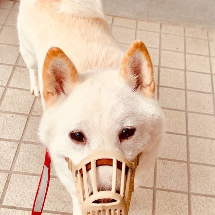 E1a1fb2f b29a 4420 9334 d16870d31e51 1565472189922