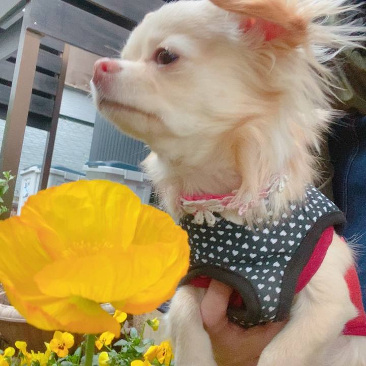 E1a2139d 4aeb 474b a6d2 a680fe4a8fb2 1614335109968