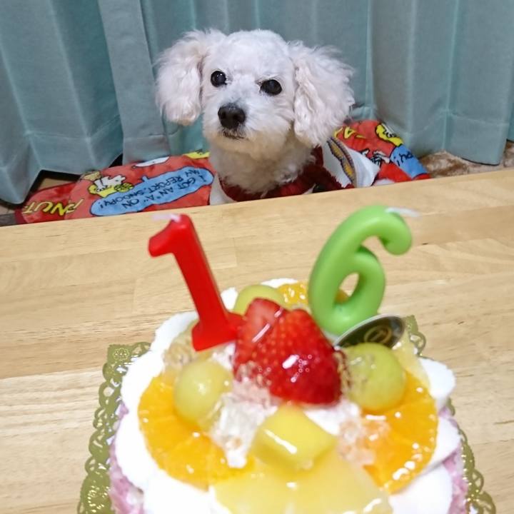 E1a21e0e 1948 4b1c aa72 f459fe31c0f8 1605703753320