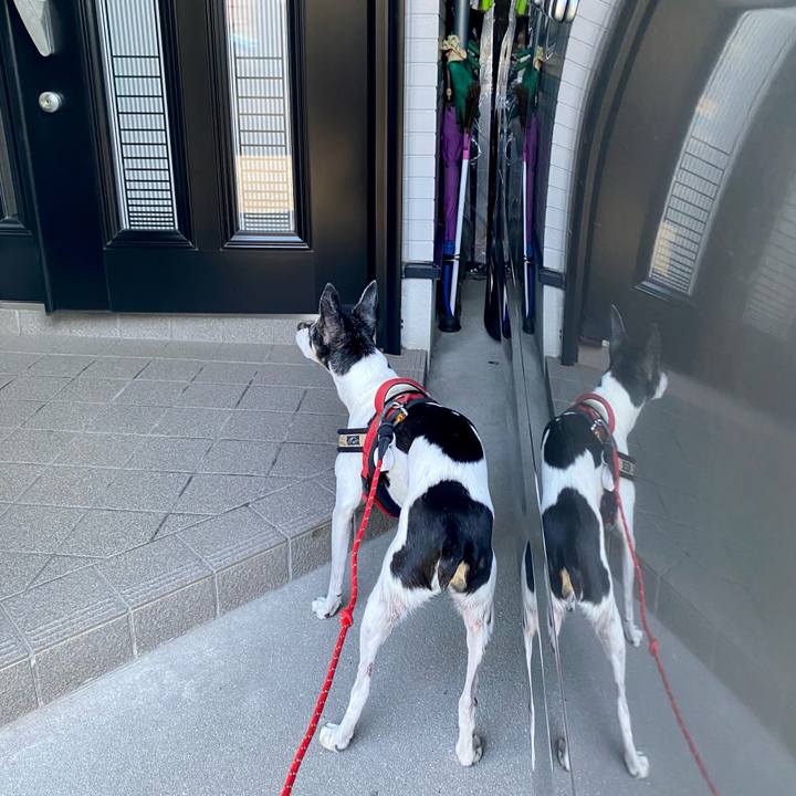 E1a233a1 171b 4bf2 bad6 4ab4de48294e 1632525813739