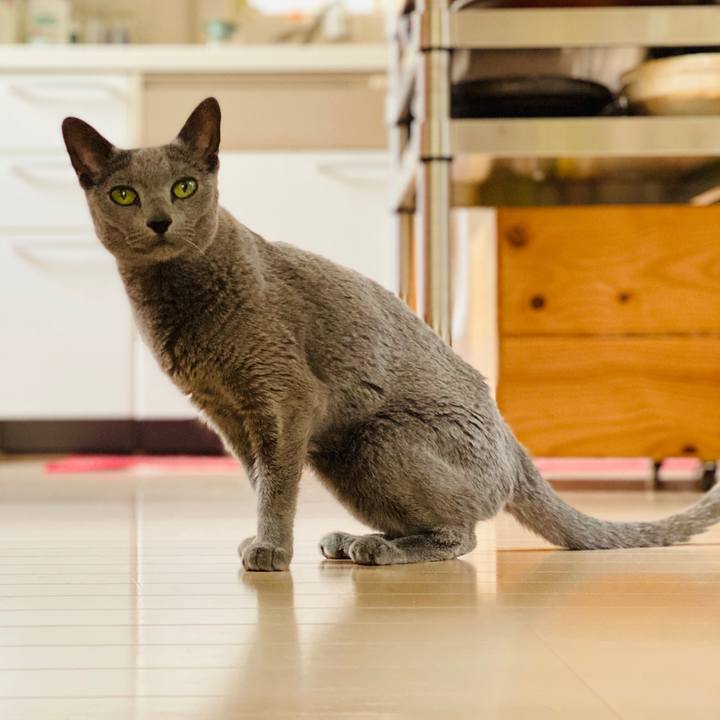 E1a243c4 a199 4dc1 a27a 39b12ddc9f68 1591020555871