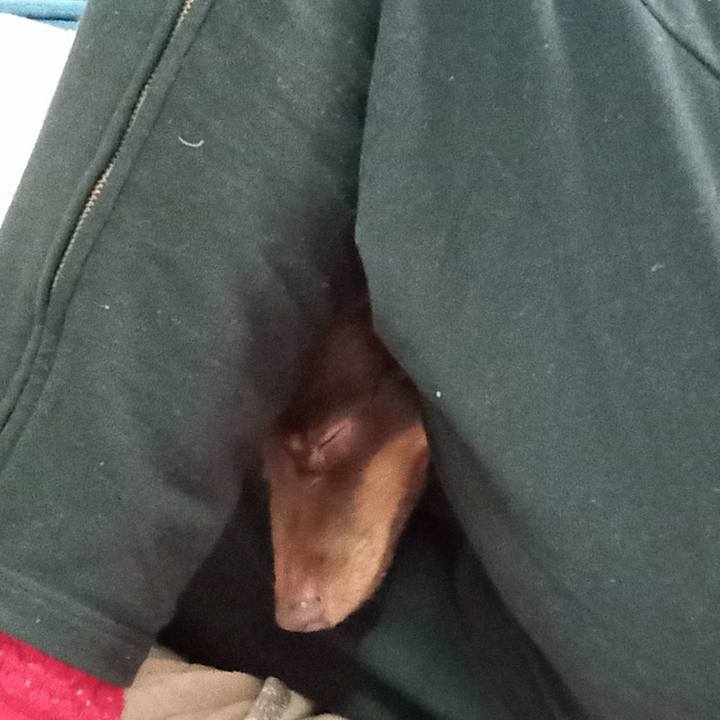 E1a25a41 fc16 49bf bd92 7fe613d98414 1771627514337