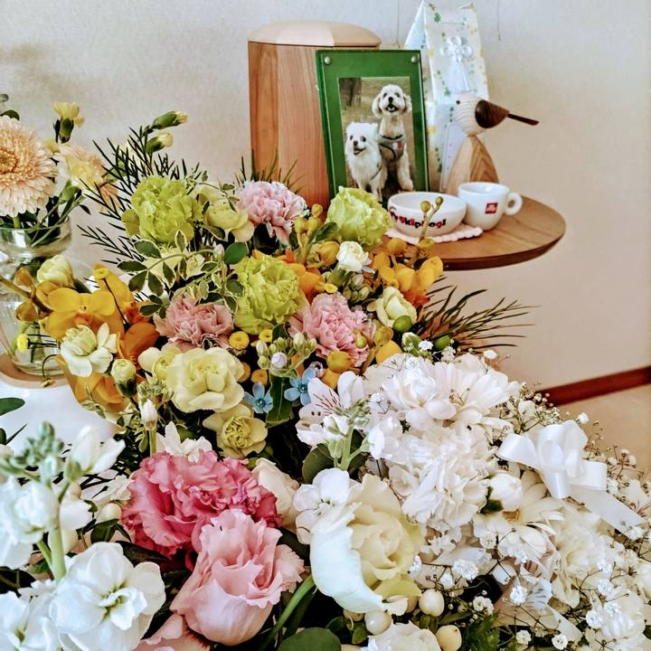 E1a28198 4dfb 4156 ac4d 647a0827fd7b 1732937490012