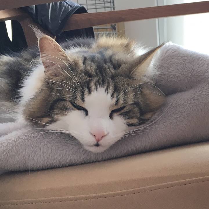 E1a2be42 638a 4251 957c e9b04075a394 1518582241908