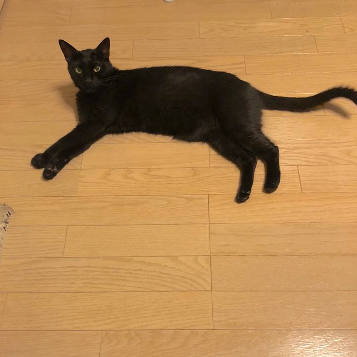 E1a2e188 0824 4069 baf2 eadfa854adf7 1533473203596