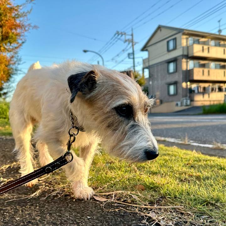 E1a2e7da 54fd 4e8c 8584 2ea48403ad63 1730971264974