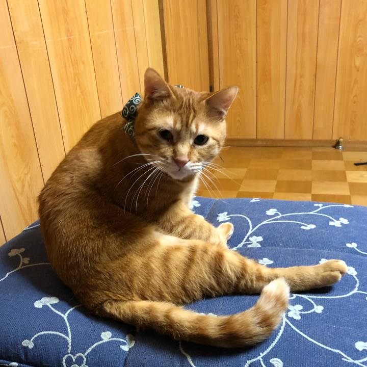 E1a3aaf0 2f24 482e 84ad 464ec6236b96 1554380976027