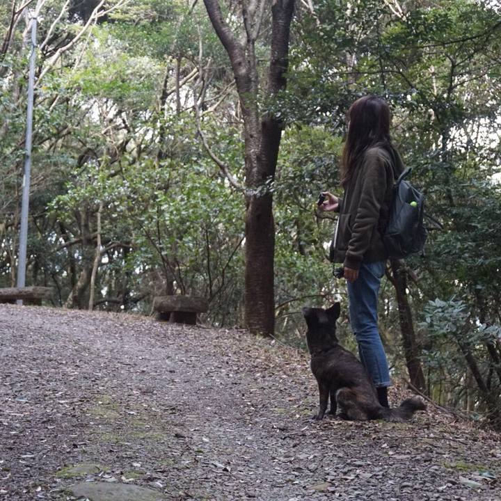 E1a3d0ff 9655 42ce aa24 70e37113c504 1524875401294