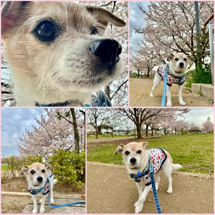 E1a3f20e c5b3 4aa2 bebb 9cd30e412c14 1712877356896