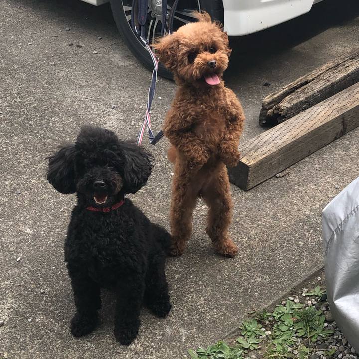 E1a3f2ca d963 4793 af32 dc103d2f75f9 1588485876253