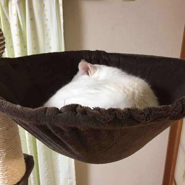 E1a41117 24f8 4e34 ae8e df3e01fbe0cf 1515246247056