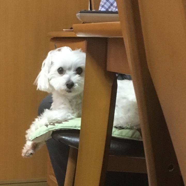 E1a44290 483c 4586 98d8 e8daa7161da4 1529581492523