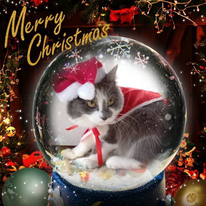 E1a4458f 4f0b 426c 9244 5934ffd75098 1671922934615