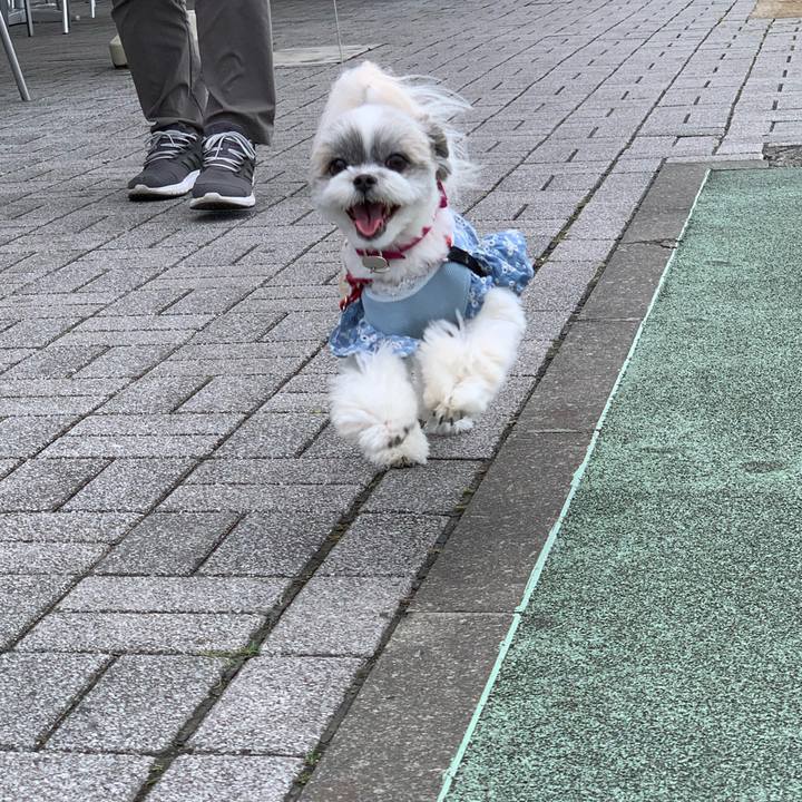 E1a466b1 1550 47e3 a6e7 e0ac90445179 1631747402252