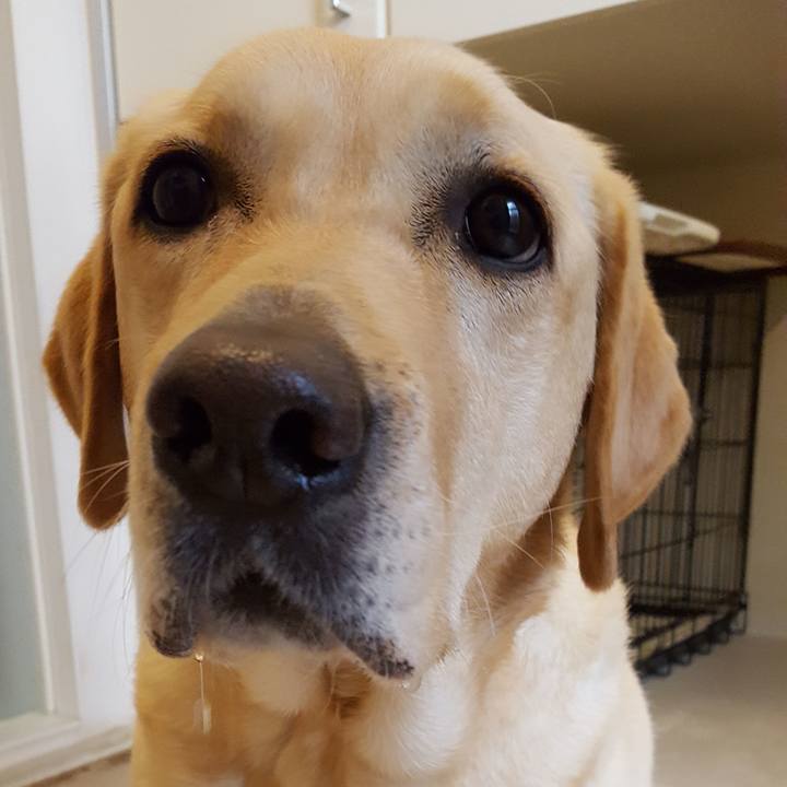 E1a4a0a4 b3d0 41b3 9301 a3fdd71ddcee 1513997057975