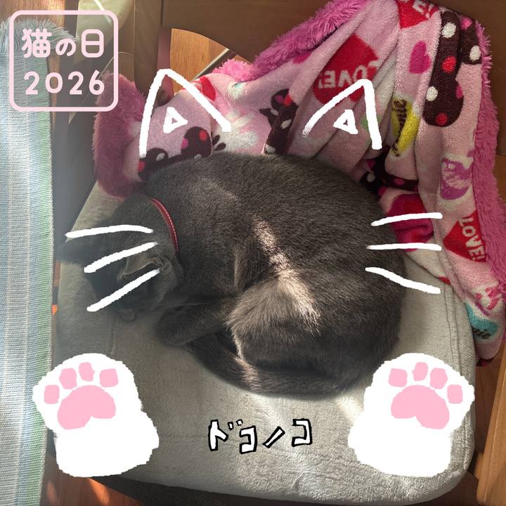 E1a4ac6e 44bc 4913 abda 491cedab7583 1771808075714