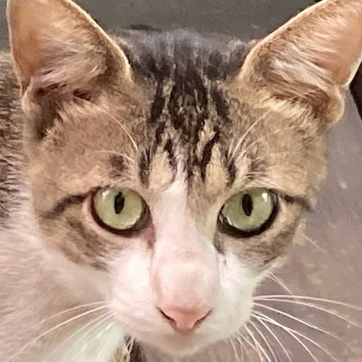 E1a4b6d5 1ee5 45fb bf8a 649b2aa9e4ef 1760151101189