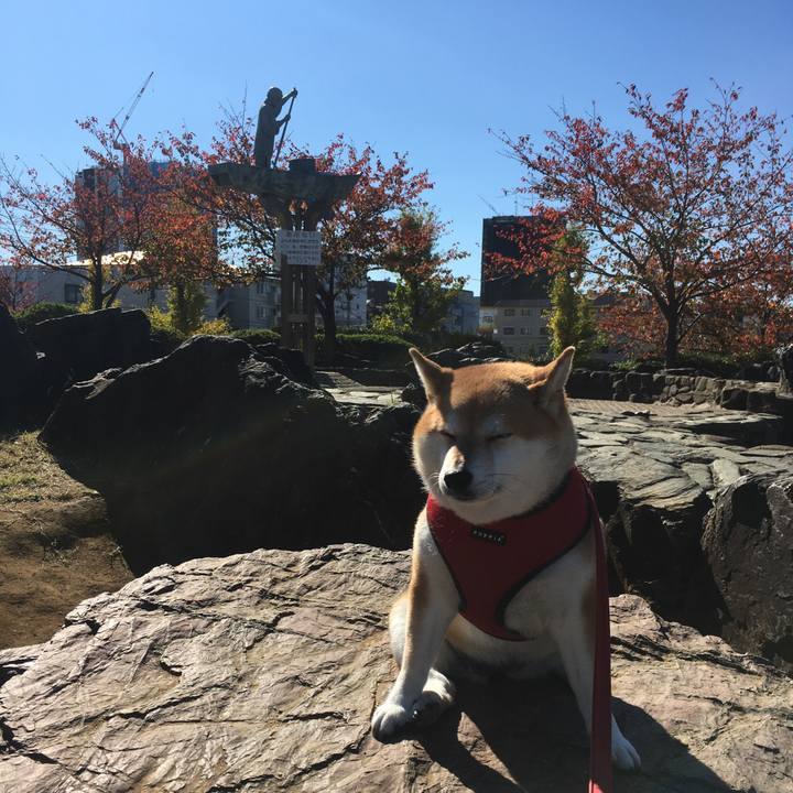 E1a4d3b8 5412 4795 a70a 1c8408951460 1604976447554