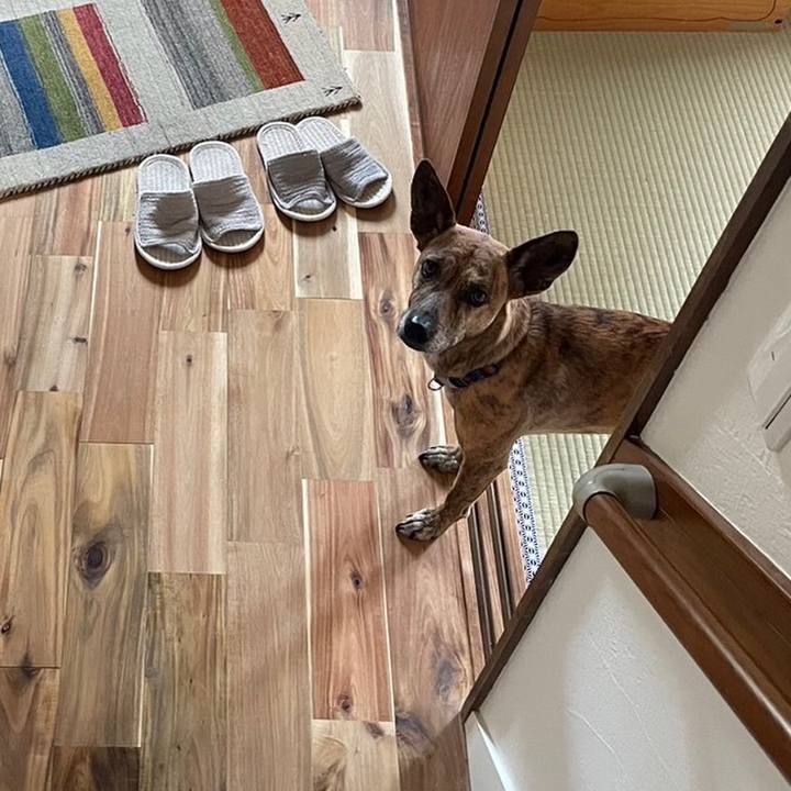 E1a4e39d b7d1 4616 9687 0f5f99d108f7 1683716083827