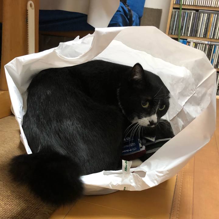 E1a4e48a ea70 4cb9 b293 3f856e8e17be 1547610132380