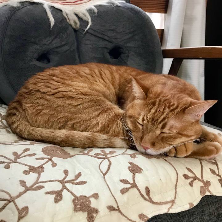 E1a4e4b2 c5de 4aed be3c 939facf0b6b1 1531461693576