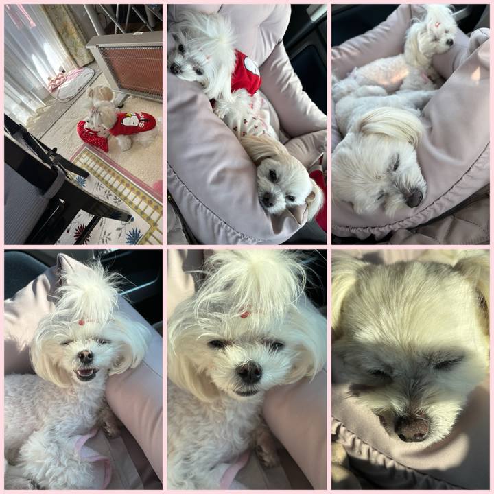 E1a4ff9a c9f0 47d7 bed4 b723d6de9bc9 1742636094841