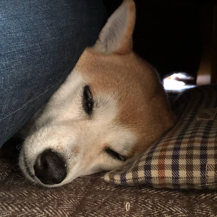 E1a50934 7f06 48b4 8e6c 9f811dd632d4 1546842697405