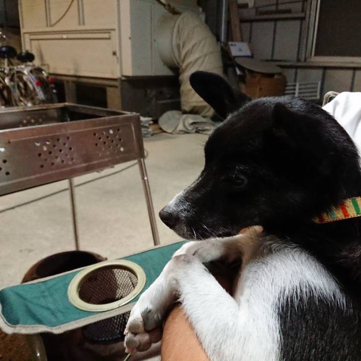 E1a55a68 448e 49eb 90ad c31d5aadcffc 1567858382360