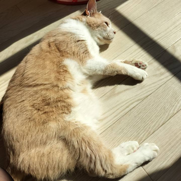 E1a569f3 0450 430d 8c52 8d3ba1e302cb 1653780143460