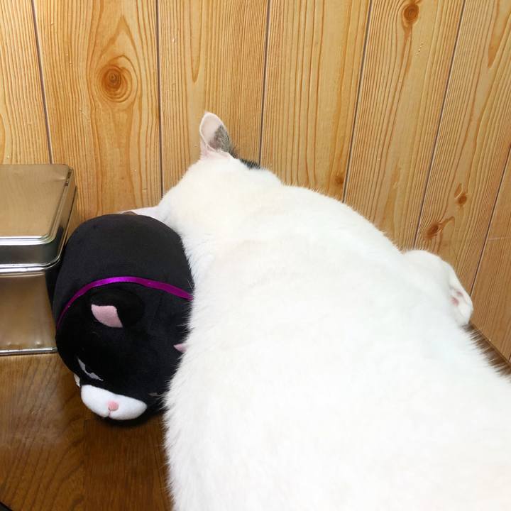 E1a57f7d 1f8f 4e9d a71f 537f2dc540b6 1536735971119