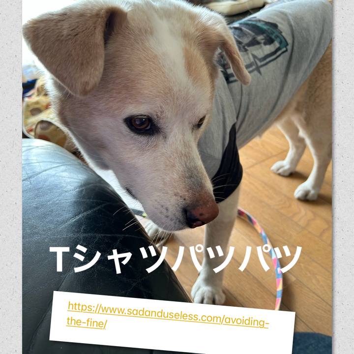 E1a59e2d 92ab 452a 86d6 c70971dff199 1680845831248