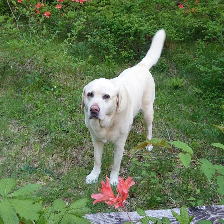 E1a5b517 e2cc 4b5e 84c9 5d34202144df 1717756611370